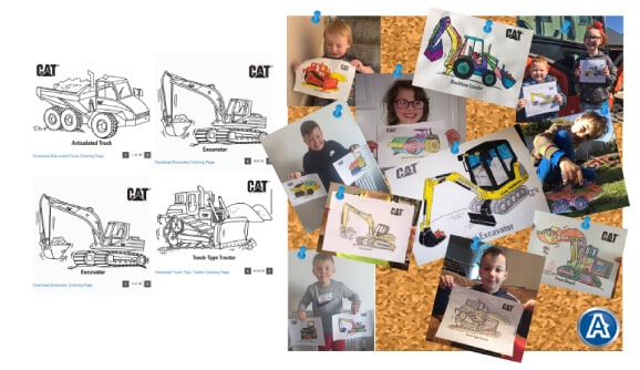 CAT COLOURING COMPETITION WITH ASHBROOK Post Thumbnail